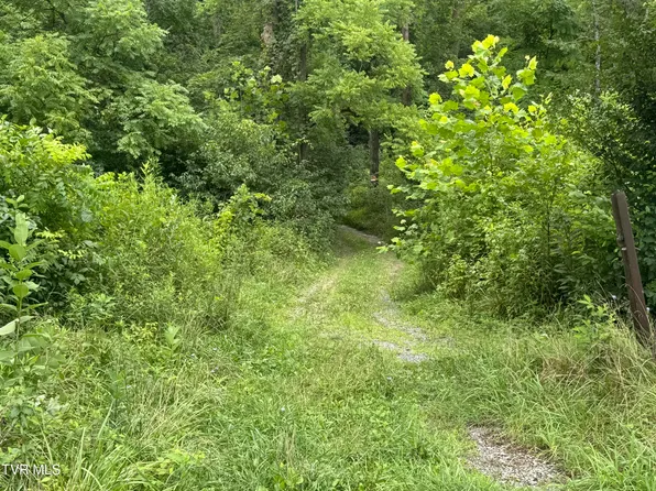 Pocahontas Trl, Meadowview, VA 24361