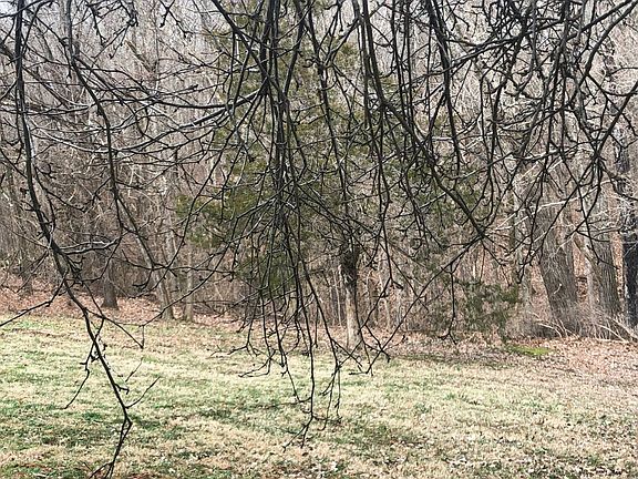 5th image of 402 Creek Bend Dr