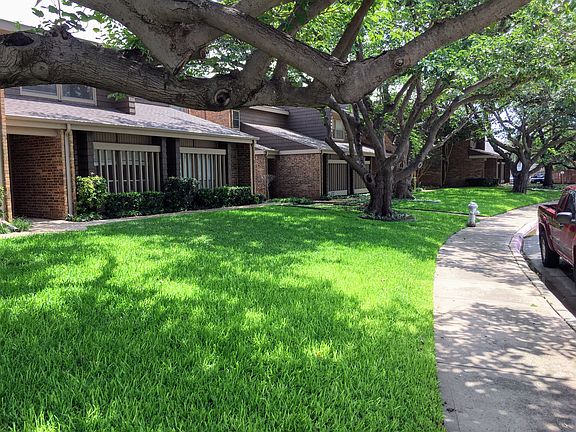 Lawn in front of home