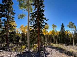 377 N Upper Meadow Dr, Beaver, UT 84713
