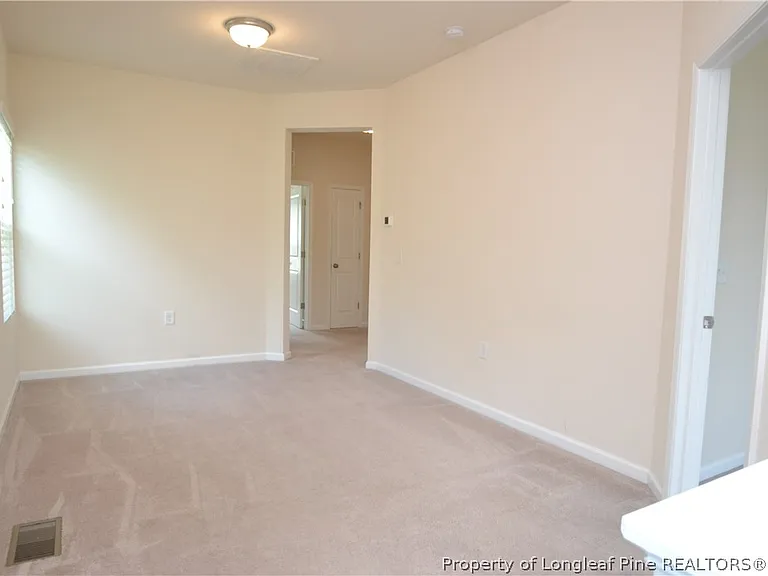 1127 Brightskies St — Photo 19