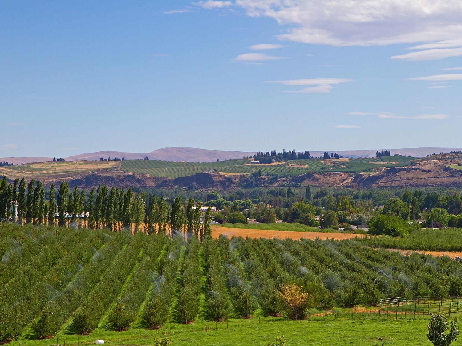 Cherry Acres by Hayden Homes, Inc. in Grandview WA Zillow
