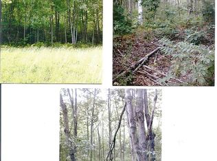 Leary Flint Rd, Brasher falls, NY 13613