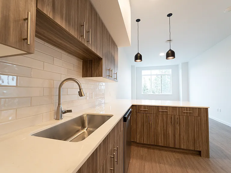 Orrin Kitchen Closeup