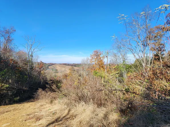 Parton Hollow Rd, Sevierville, TN 37876