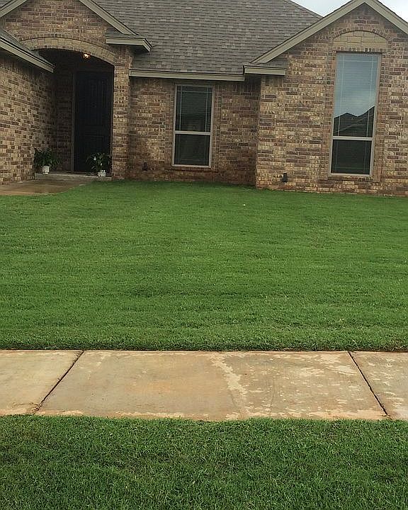 Front yard. Thick Bermuda 