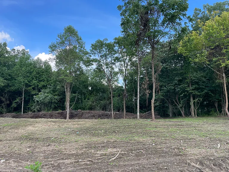 131 Laurel Trails Rd — Photo 11