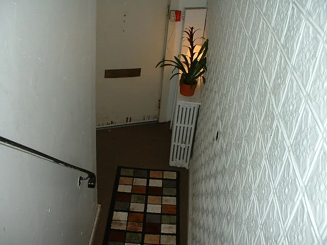Richmond Ter — Photo 17