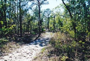1st image of 5286 W Yearling Dr