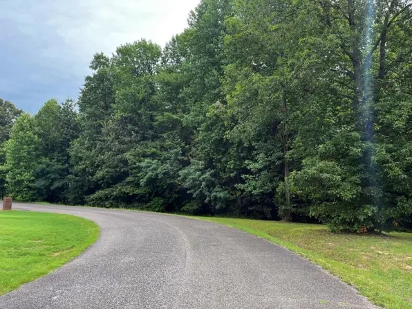 0 Castleton Cv, Paris, TN 38242