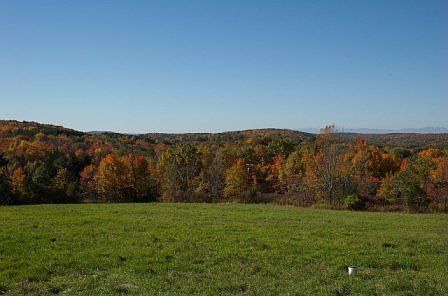 View from front porch