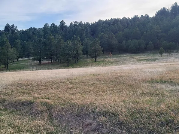 Lh Rd, Fairburn, SD 57738