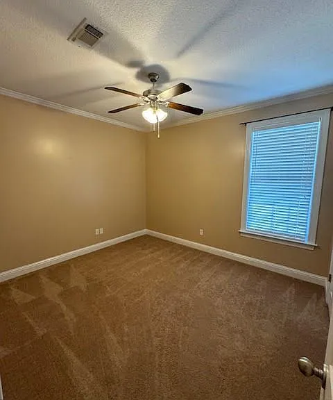 508 John Baptiste St — Photo 13