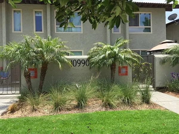 San Buena Ventura — Photo 20