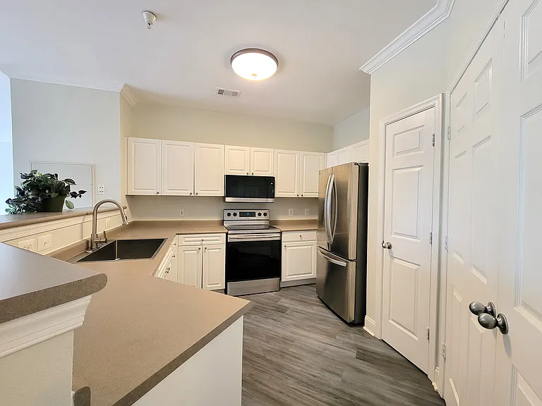 3009 Nicosh Cir #4301 — Photo 10