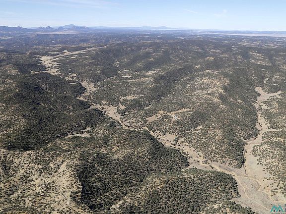 3rd image of Goat Ranch Rd