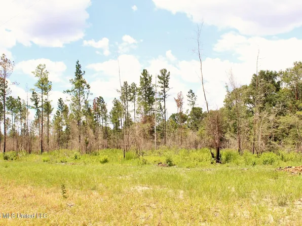 378AC Cottonwood Dr Lot 8, Lucedale, MS 39452