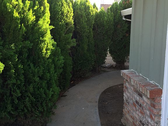 3rd image of 2106 Virgilia Ln
