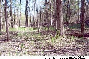 1st image of 0 Schneider