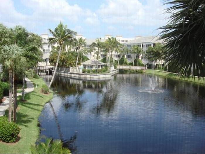 View from Lanai
