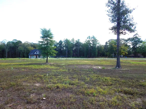 290 Indian Rock Dr E, Gilmer, TX 75644