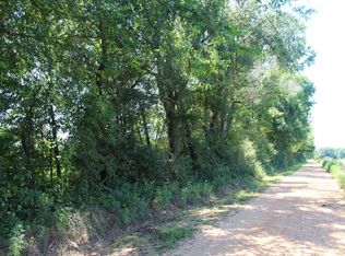 123 E D Wright Rd 86 Acres Coy Al, Coy, AL 36435
