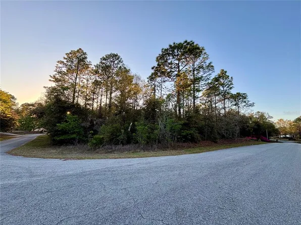 LOT 33 SW 97th Pl Lot 33, Dunnellon, FL 34431