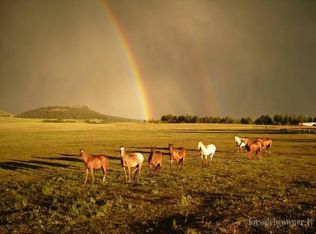 13500 Furrow Rd, Larkspur, CO 80118