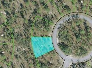 16 Pagoda Ct N, Homosassa, FL 34446