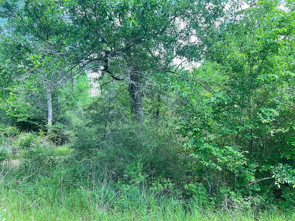 2nd image of N Highway 87 N