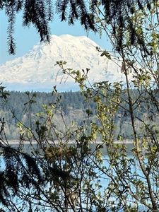 10911 Seaview Drive, Anderson Island, WA, 98303