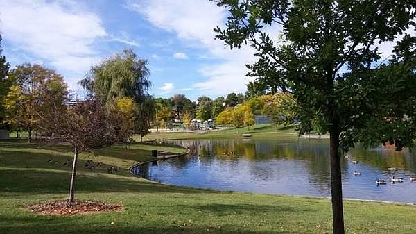 Pond