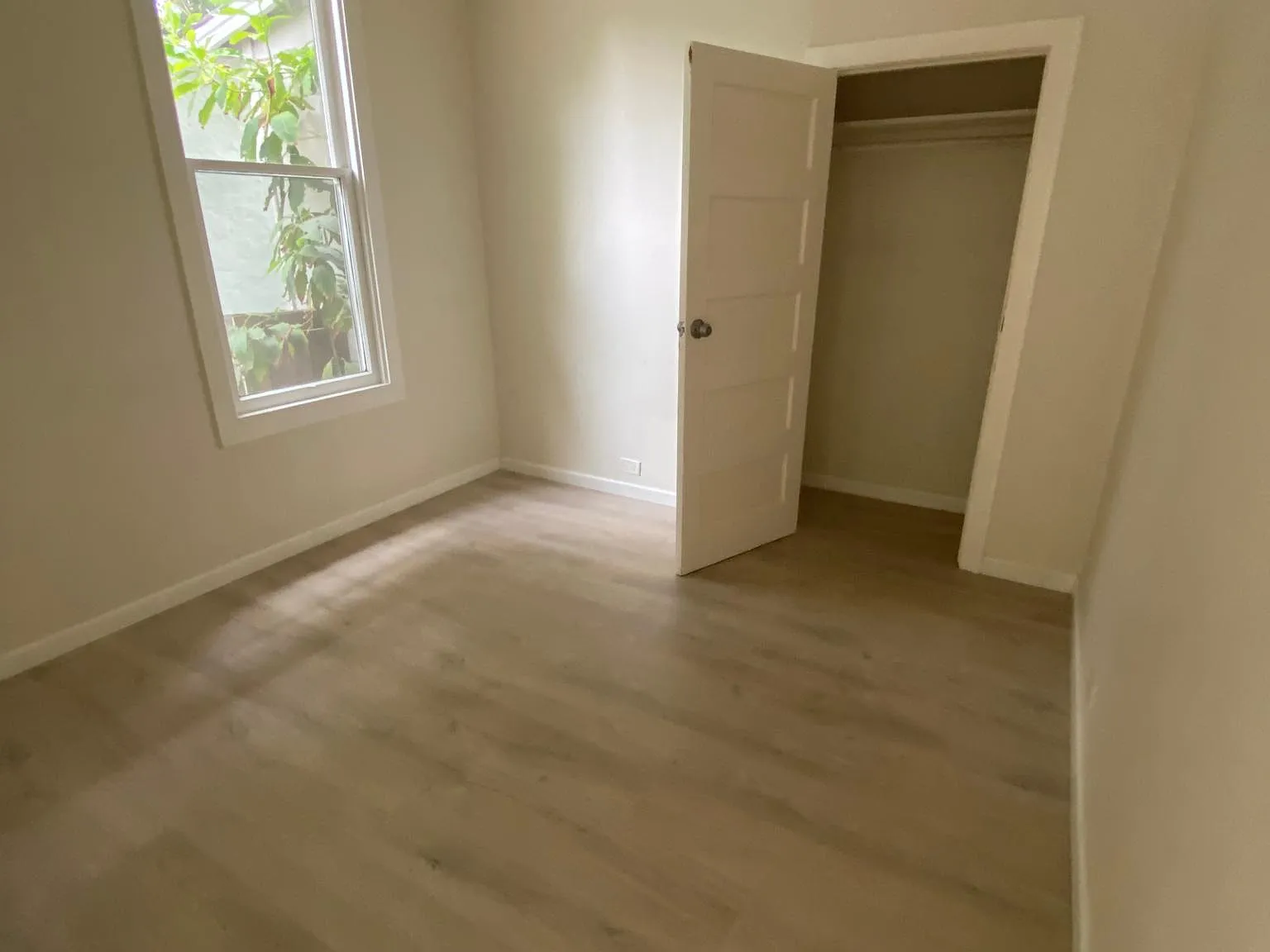 308 Elm St — Photo 3
