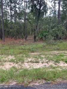 2796 W Xenox Dr, Citrus Springs, FL, 34433