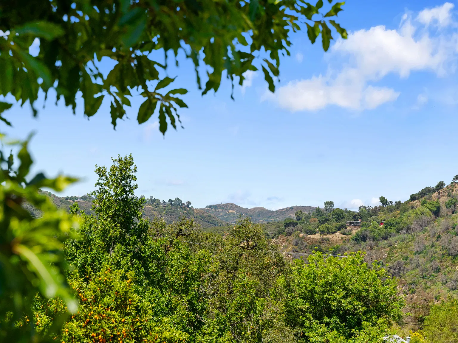 4 bed, 2500 sqft, $7,400 — Photo 3