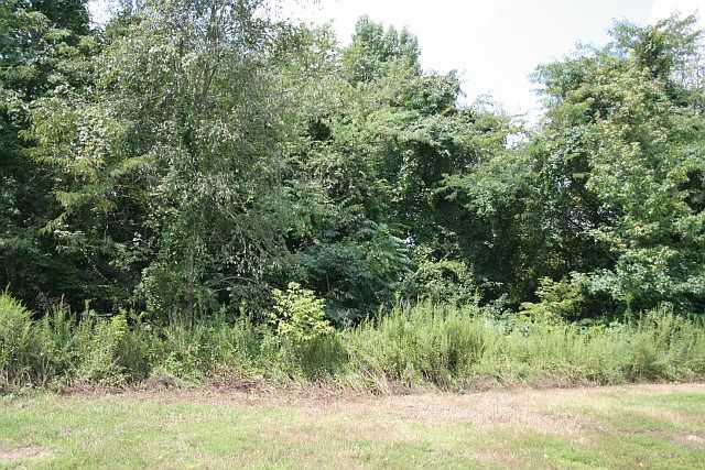 1st image of 346 Bradford Farms Dr