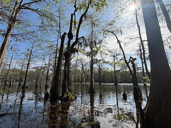 2nd image of Fisherman Rd