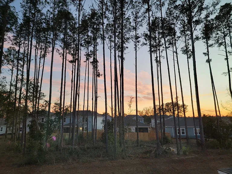 1209 Salty Hammock Ct — Photo 3