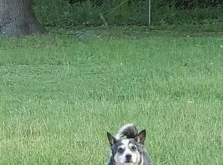 3127 Palomino Dr, Beaufort, SC 29906