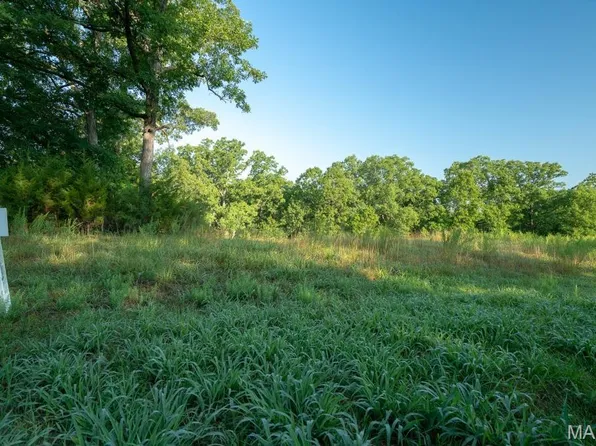 39 Grand Meridien Ct, Chesterfield, MO 63005