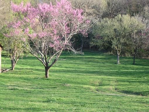 1st image of 261 Old Carters Creek Park