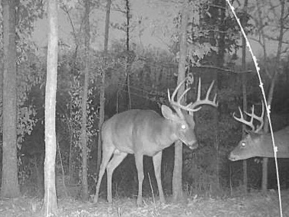 3rd image of 1 Abernathy Rd