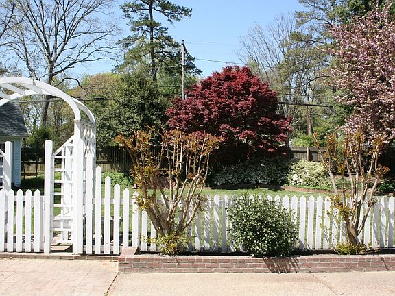 back yard