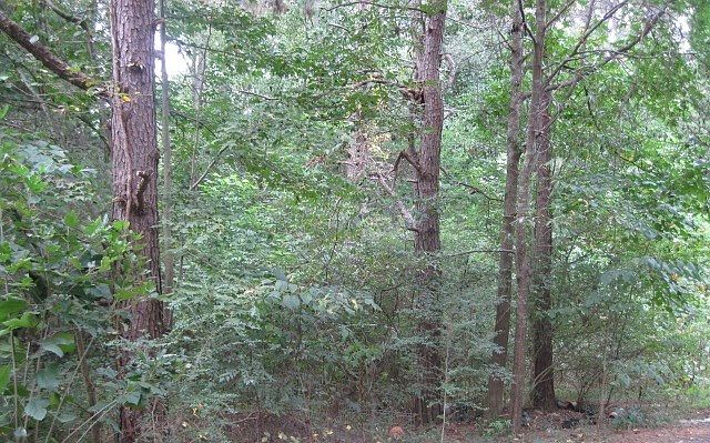2nd image of 3538 Pelzer Hwy