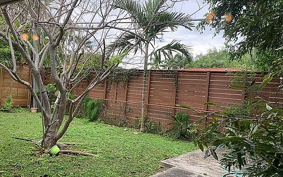Back yard