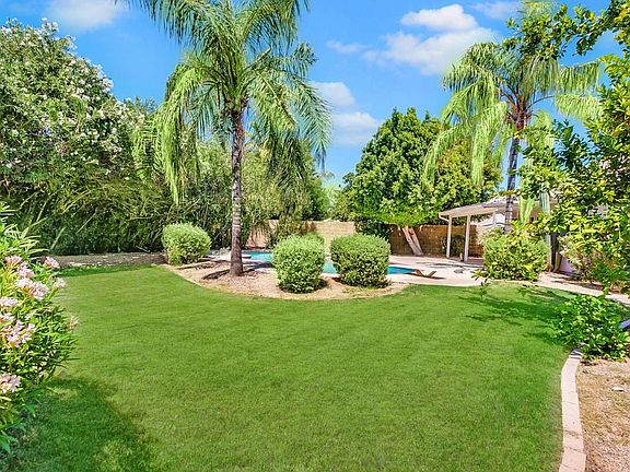 Large lot is like an oasis