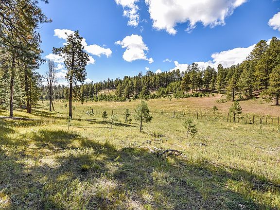 2nd image of Jemez Mountains Forest Rd #10