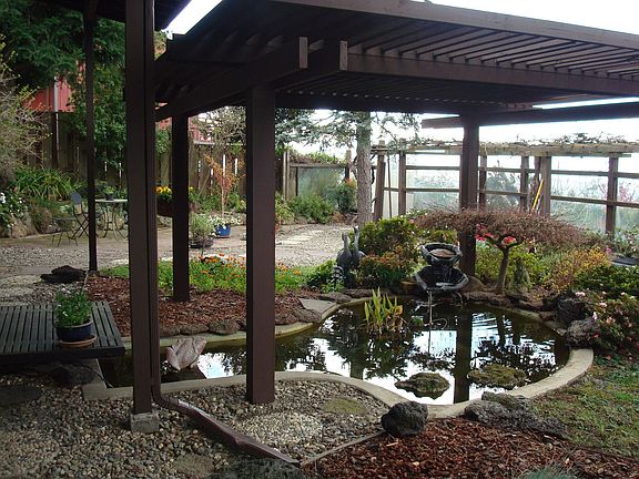 Fish Pond