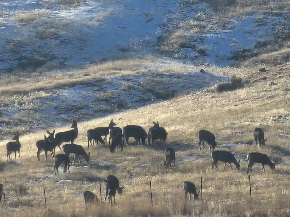 2051 Thompson Rd, Homedale, ID 83628