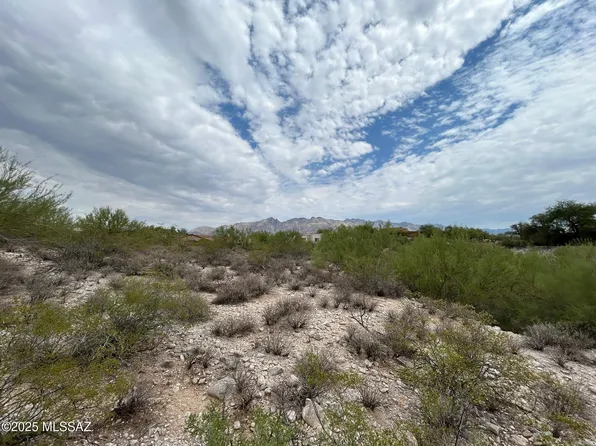 N Palo Verde Blvd, Tucson, AZ 85718